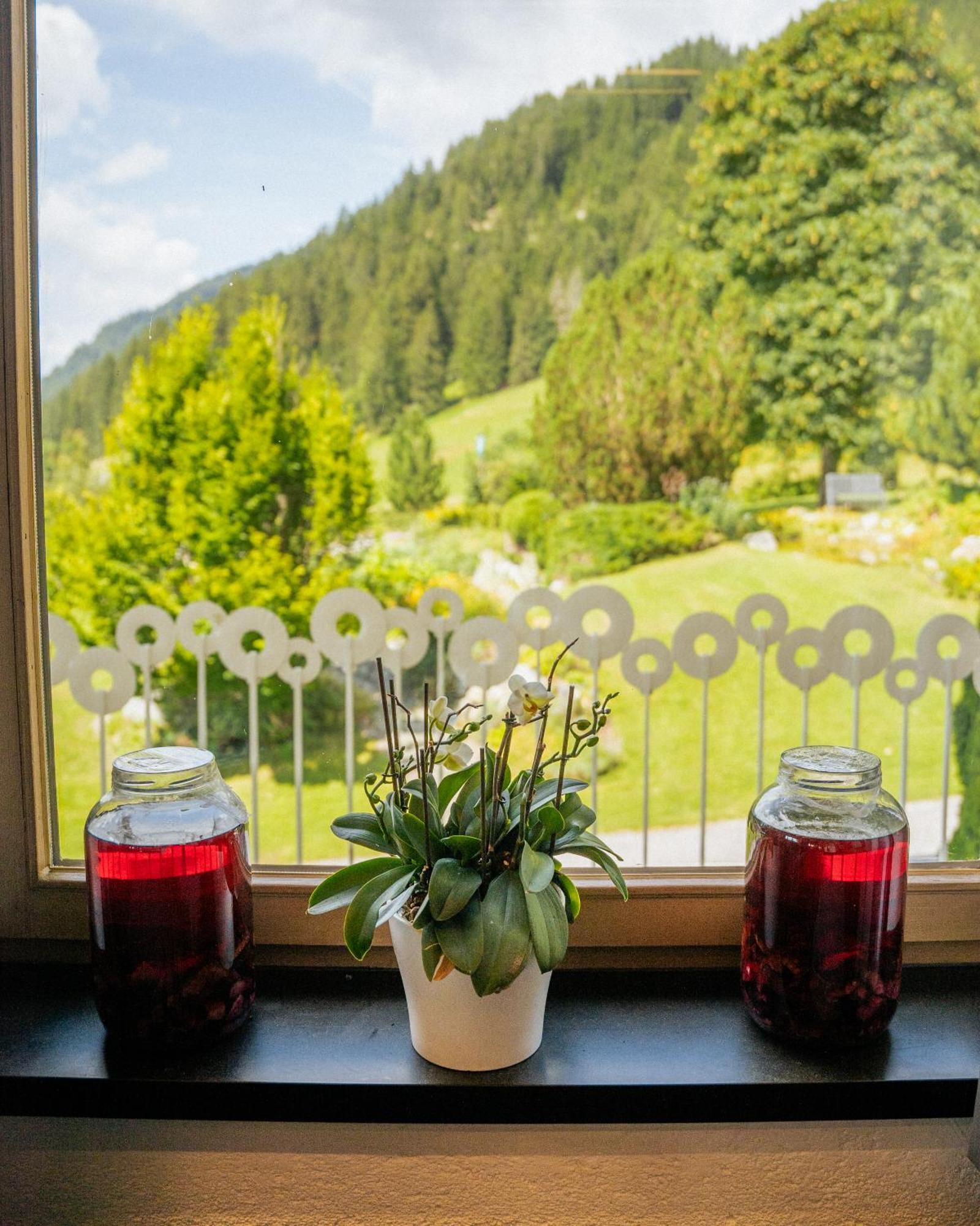 Aparthotel Pfeffermuehle Ramsau am Dachstein Zewnętrze zdjęcie