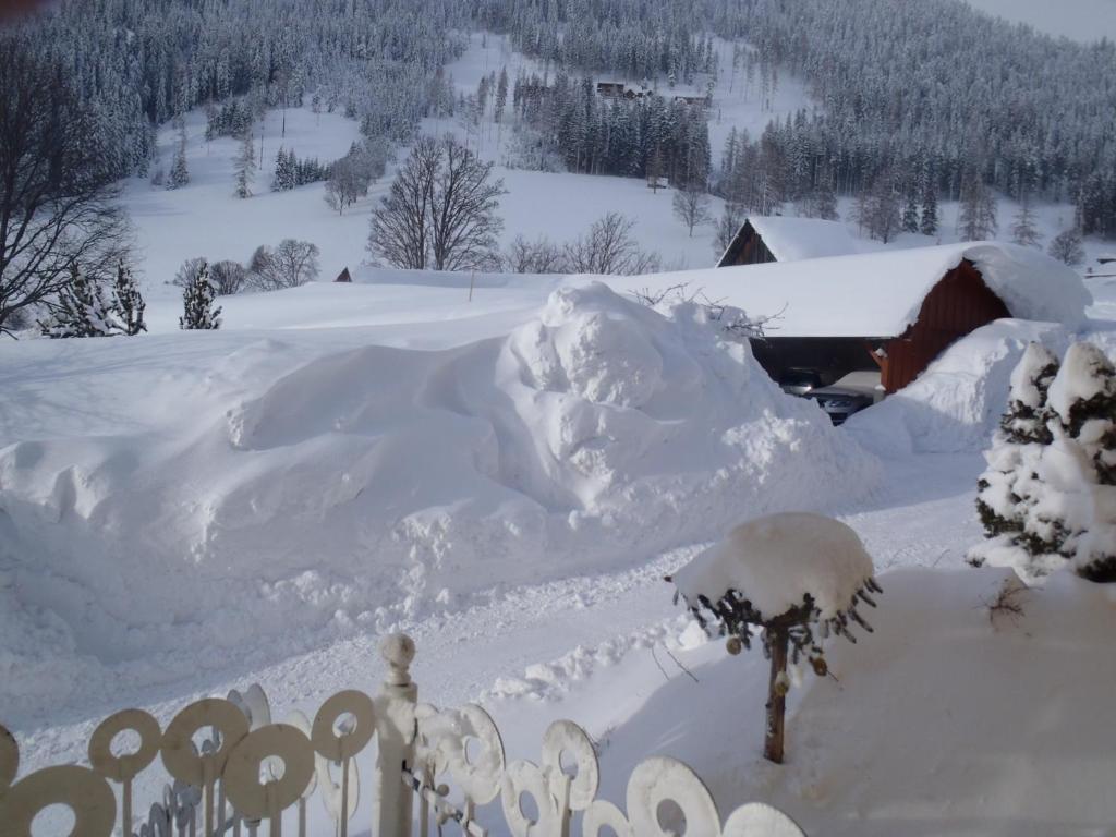 Aparthotel Pfeffermuehle Ramsau am Dachstein Zewnętrze zdjęcie